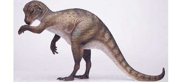 03 dinozaur pitic