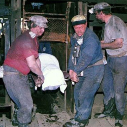 04 X 2 Mineri morti Petrila (12)