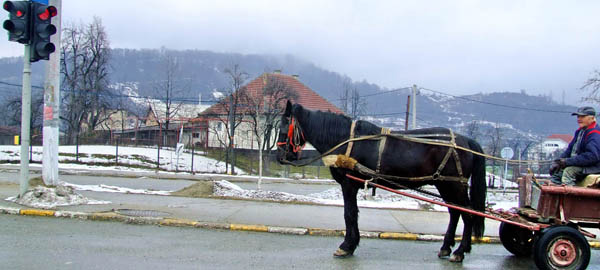 02 siguranta rutiera 02 siguranta rutiera