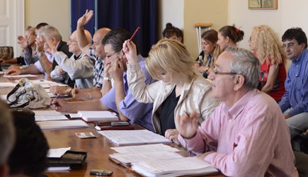 02 consiliul local hunedoara (39)