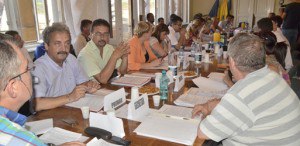 05 arion boboutanu consiliul local hd (73)