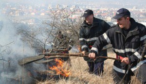 03 incendiu-padure-01