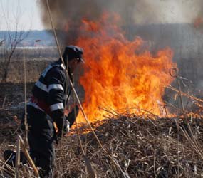 03 incendiu vegetatie uscata (1)