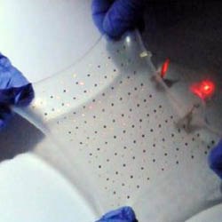 06 IT_66077182_rogers