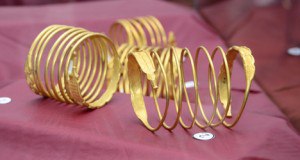 03 expozitie bratari dacice (12)