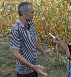 01 gheorghe danciu sotul crima castau (56)