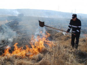 3 incendiu vegetatie uscata pasune pompieri (8)