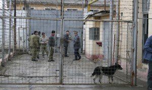 3 Penitenciar Barcea (8)