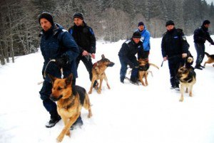 comandantul-centrului-de-pregatire-a-jandarmilor-montani-sinaia-trimis-in-judecata-pentru-coruptie-124172