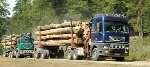 04 transport_lemne_60460500