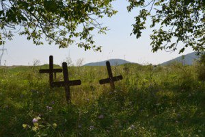 02 cimintir branisca (40)