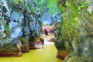 07 cheile glodului_1084