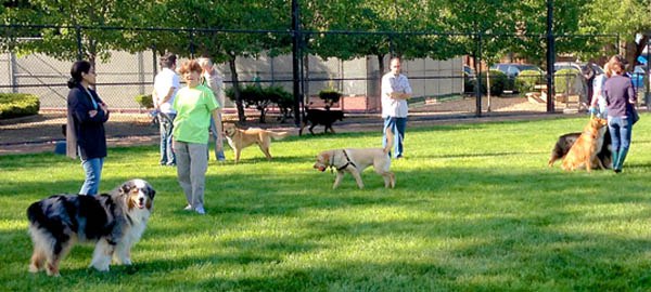 One Days Garbage   Dog Park Reopens