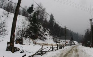 linii electrice cazute