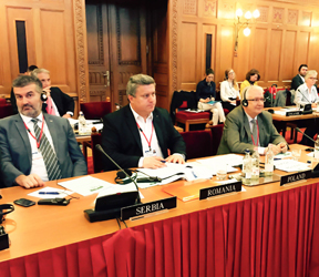 05 vochitoiu haralambie ppdd (37)