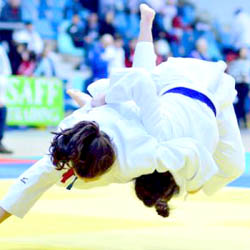 11 x 1 judo