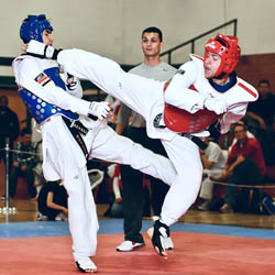 11 x 2 taekwondo