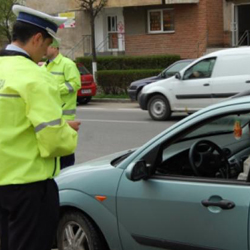 03 soferi amendati viteza