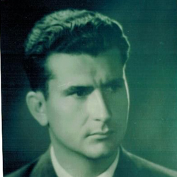 Petru Mircea (1946)