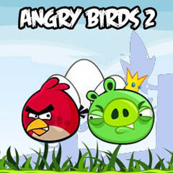 06 angry birds