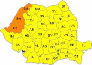 cod galben si portocaliu