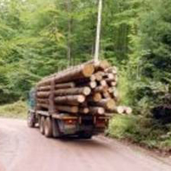 03 autocamion lemne