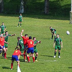 11 x 2 bucovina stiinta 1