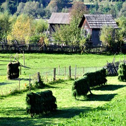 Rosia satul dacic
