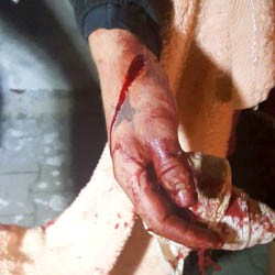 03-taiat-cu-sabia-img-20161019-wa0001