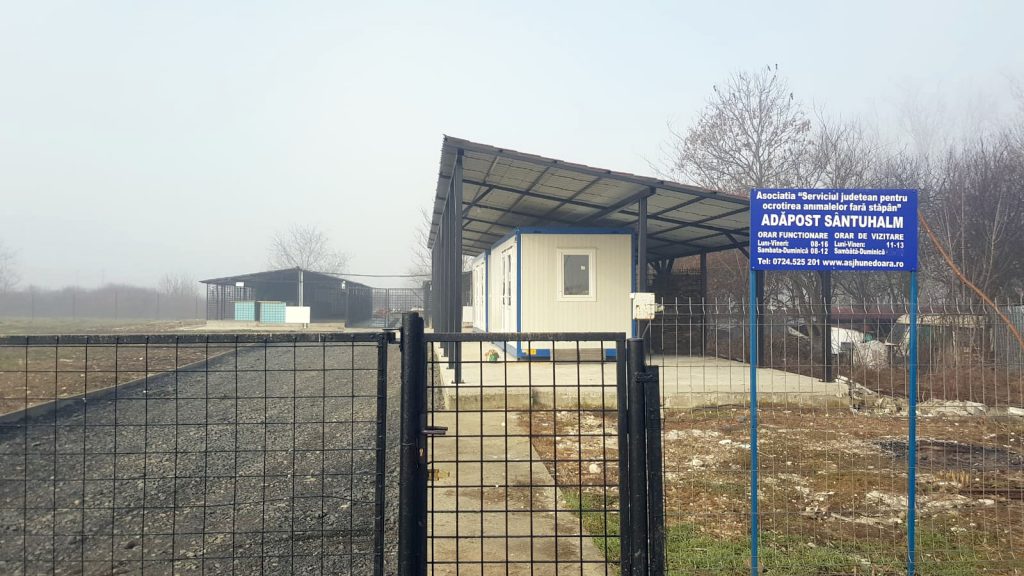 Câinii de la Adăpostul din Sântuhalm au condiţii de top Stiri si