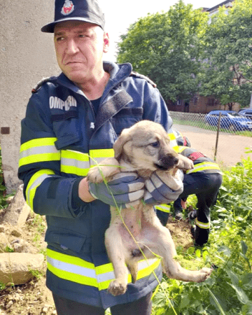 Ce sfaturi a dat Norocel după ce a căzut într-un canal