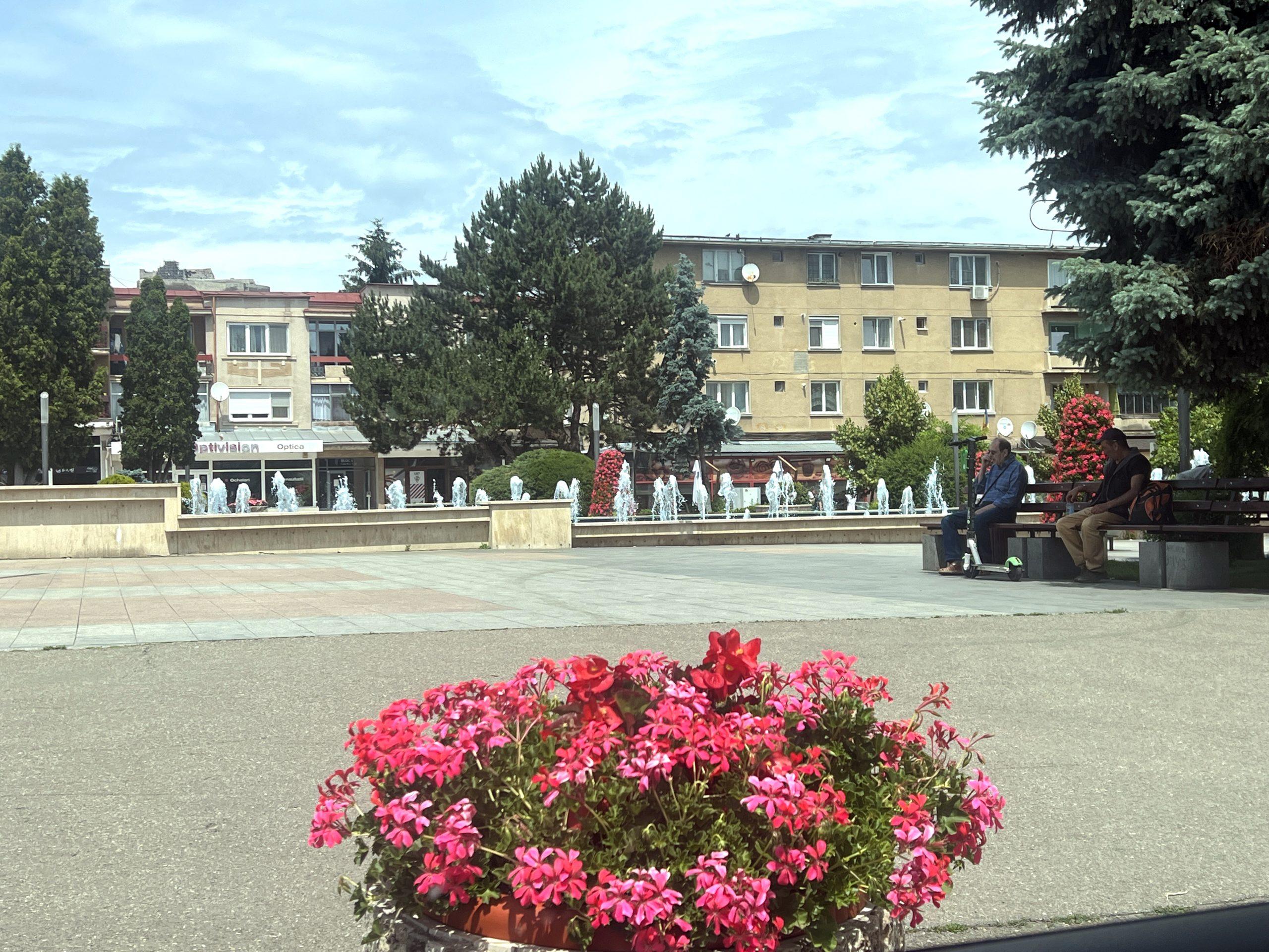 Deva e plină de flori!
