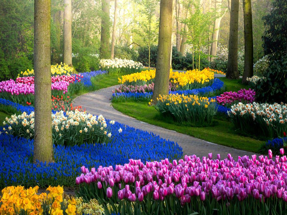 Cel mai mare parc floral din Europa