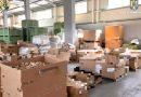 Operațiunea „fabrica de vise”! Percheziții mamut la fabricile de droguri din România: mascații au descins în 23 de județe