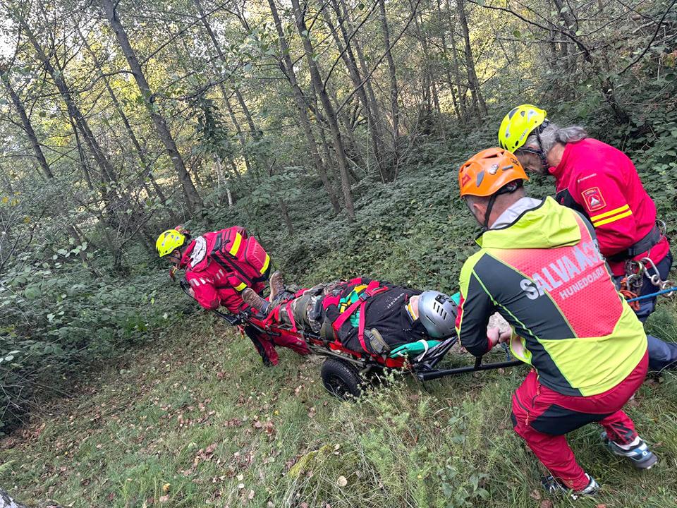 A rămas agățat în crengile unui copac